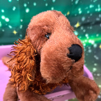 Heath, Irish Setter Webkinz