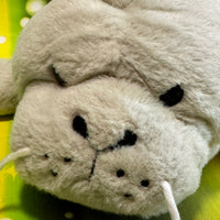 Millon, Manatee