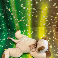Sally, Ty Beanie Buddies Siamese Cat