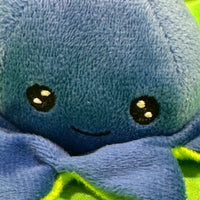 Curz, Octopus