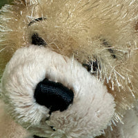Randi, Ganz Golden Retriever Webkinz