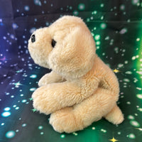 Samson, Puppy Dog Pre-Loved