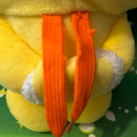 Chimmy, Dog