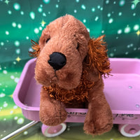 Heath, Irish Setter Webkinz