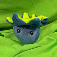 Curz, Octopus