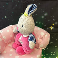 Sweetsie, Pre-Loved Bunny