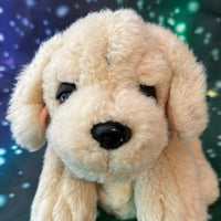 Samson, Puppy Dog Pre-Loved