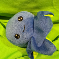 Curz, Octopus