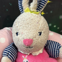 Sweetsie, Pre-Loved Bunny