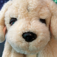 Samson, Puppy Dog Pre-Loved
