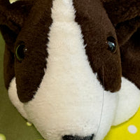 Brice, Puppy Dog