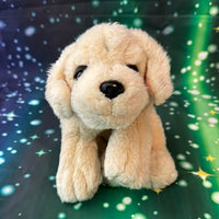 Samson, Puppy Dog Pre-Loved