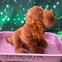 Heath, Irish Setter Webkinz