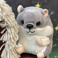 Gruffyn, Hamster