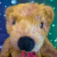 Marmelo, Teddy Bear