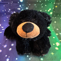 Sootsy, Teddy Bear