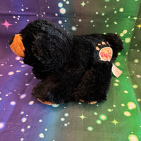 Sootsy, Teddy Bear