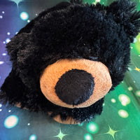 Sootsy, Teddy Bear