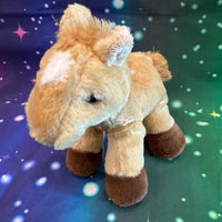 Buttersprig, Horse