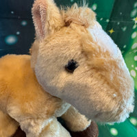 Buttersprig, Horse