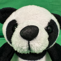 Maddee, Panda Bear
