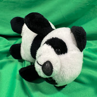 Maddee, Panda Bear