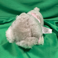 Bluff, Kitty Cat