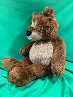 Kinder, Teddy B. Caring Teddy Bear