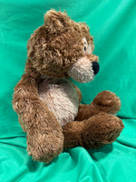 Kinder, Teddy B. Caring Teddy Bear