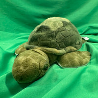 Gingle, Webkinz Gold Signature Sea Turtle