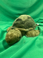 Gingle, Webkinz Gold Signature Sea Turtle