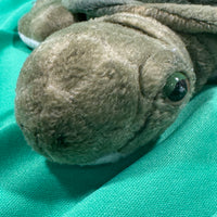 Gingle, Webkinz Gold Signature Sea Turtle