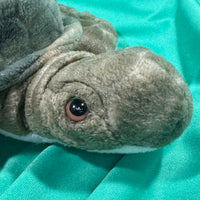Gingle, Webkinz Gold Signature Sea Turtle