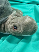 Gingle, Webkinz Gold Signature Sea Turtle