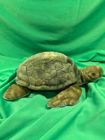 Gingle, Webkinz Gold Signature Sea Turtle