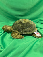 Gingle, Webkinz Gold Signature Sea Turtle