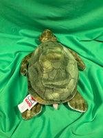 Gingle, Webkinz Gold Signature Sea Turtle