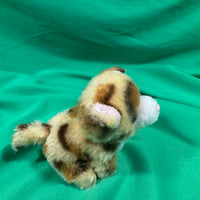 Bizzy, Tiny Leopard