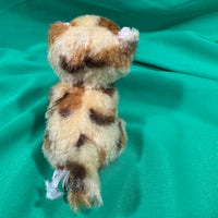 Bizzy, Tiny Leopard