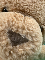 Hopkins, Teddy Bear