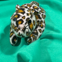 Cutie, Tiny Leopard