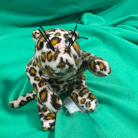 Cutie, Tiny Leopard