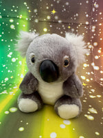 Nori, Koala