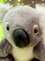 Nori, Koala