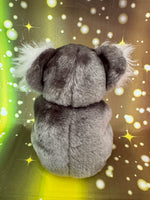 Nori, Koala