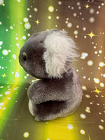 Nori, Koala