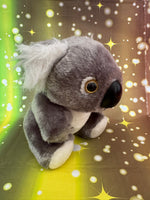 Nori, Koala