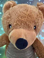 Coco Puff, Teddy Bear