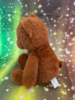 Coco Puff, Teddy Bear