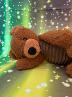 Coco Puff, Teddy Bear